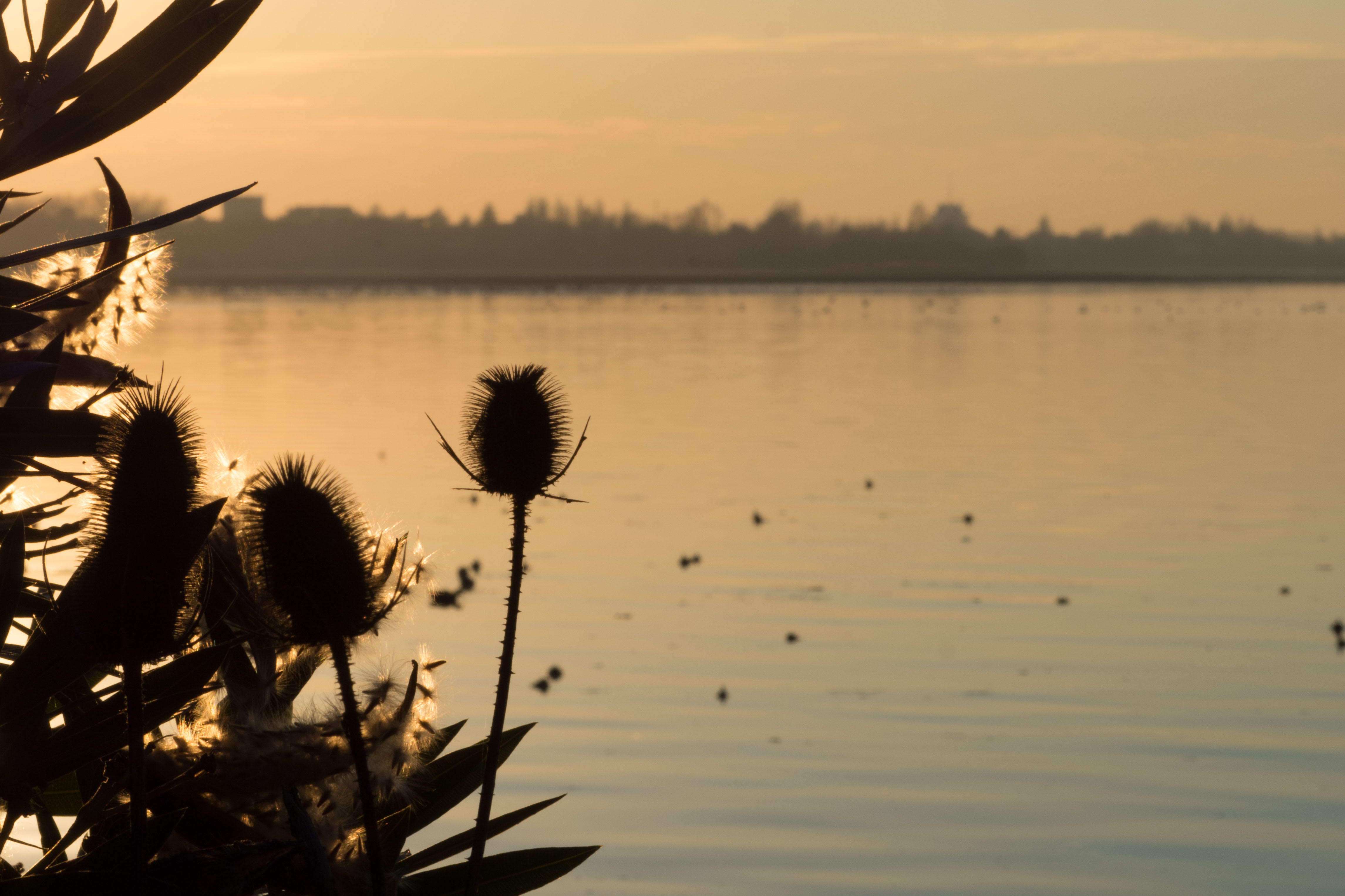 Lungolago Mantova in inverno